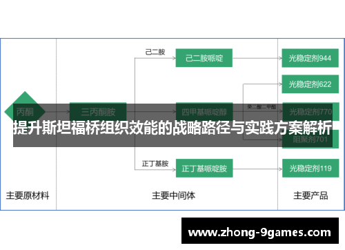 提升斯坦福桥组织效能的战略路径与实践方案解析