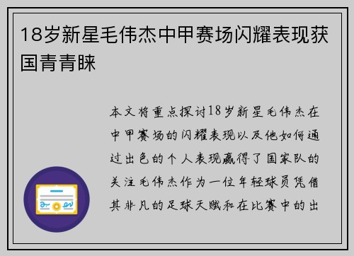 18岁新星毛伟杰中甲赛场闪耀表现获国青青睐