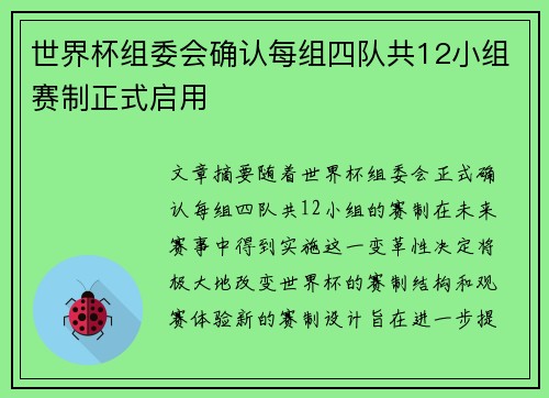 世界杯组委会确认每组四队共12小组赛制正式启用